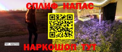 гидра Донецк