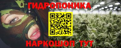 стафф Дубна