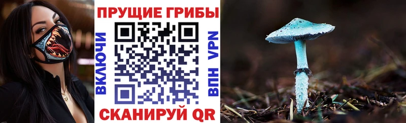 Галлюциногенные грибы ЛСД ОМГ ОМГ ССЫЛКА Камышин магазин наркотиков