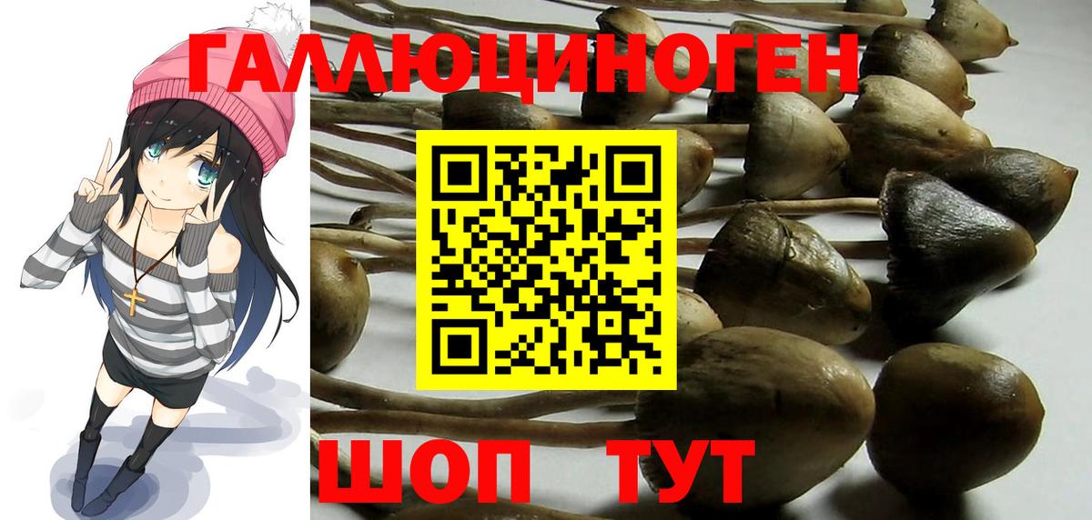 Камышин  Галлюциногенные грибы Psilocybe  продажа наркотиков  Галлюциногенные грибы мицелий  Вход с VPN 